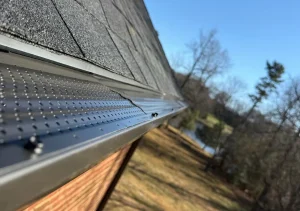 blog 2